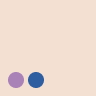 lighter tones shade sample